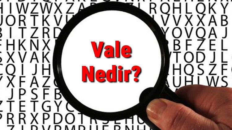 vale-nedir-ne-anlama-gelir-vale-ne-demek-tdk-s-zl-k-anlam-ayna